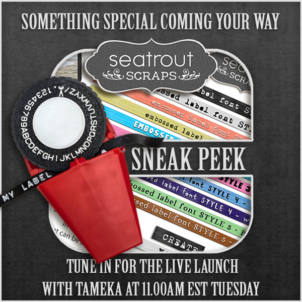 MicrosoftTeams-image (9).png