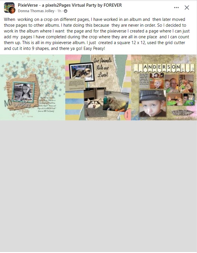 PixieVerse Ideas by Donna Jolley..jpg