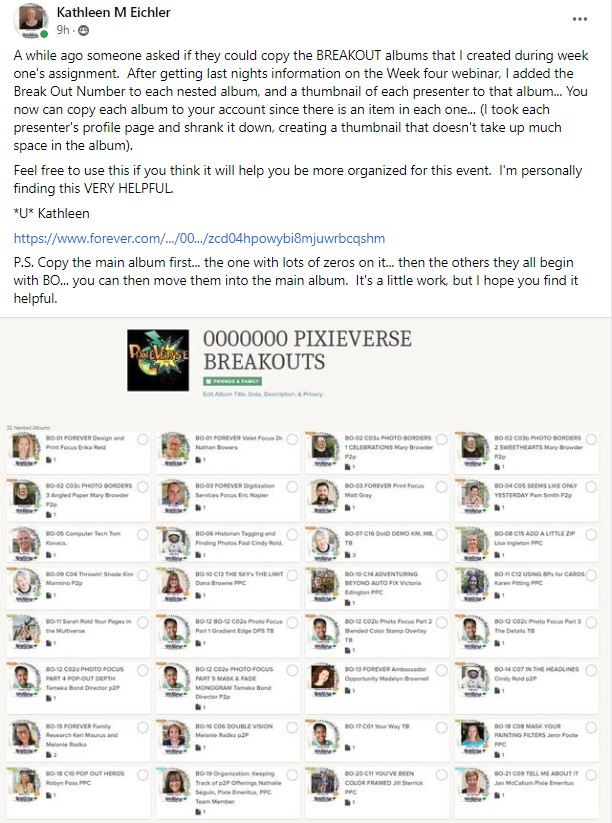 PixieVerse idea Kathleen Eichler 2.jpg